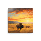 BISON