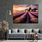 LAVENDER FIELD 2