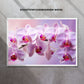 "ORCHID ELEGANCE"